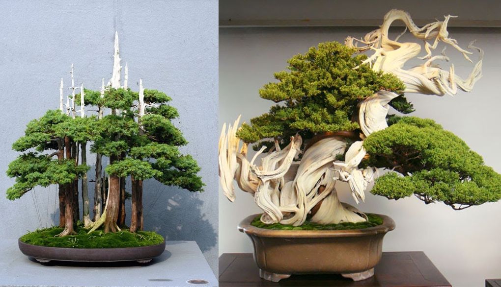 15 Ý tưởng quà tặng tân gia ý nghĩa và tinh tế