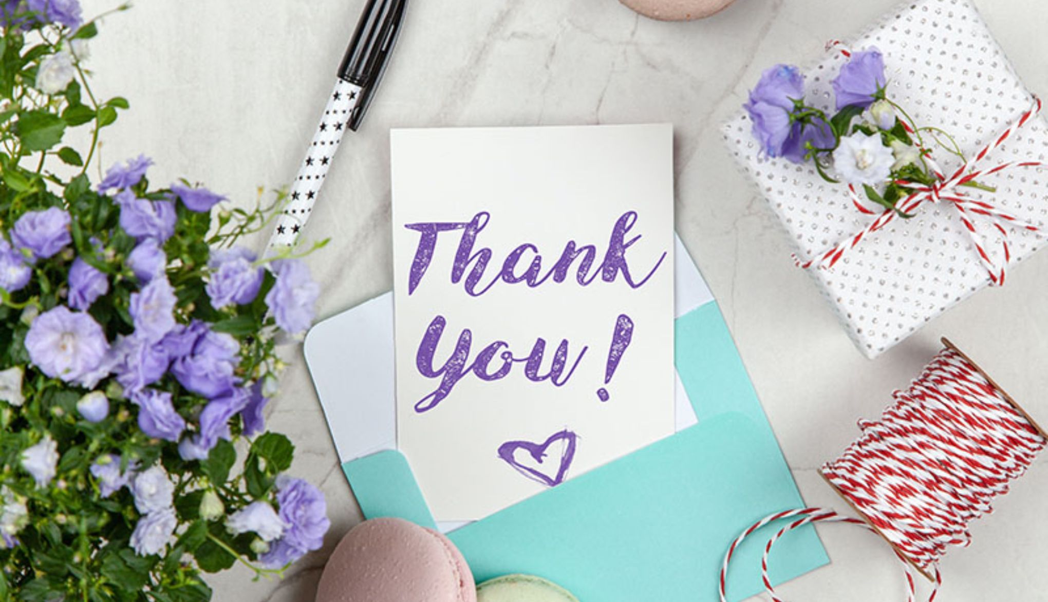 Mẫu Thư Cảm Ơn Khách Hàng Chuyên Nghiệp
