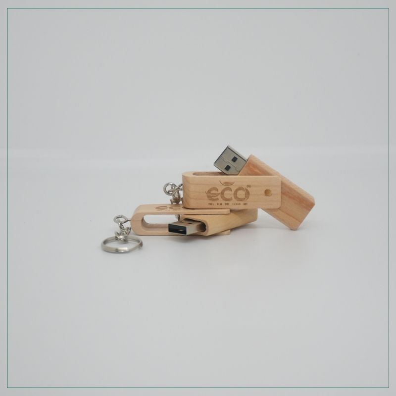 USB 16GB in logo + chứa brochure SP mới